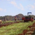 Quatro empresas já anunciaram investimentos na citricultura em Mato Grosso do Sul