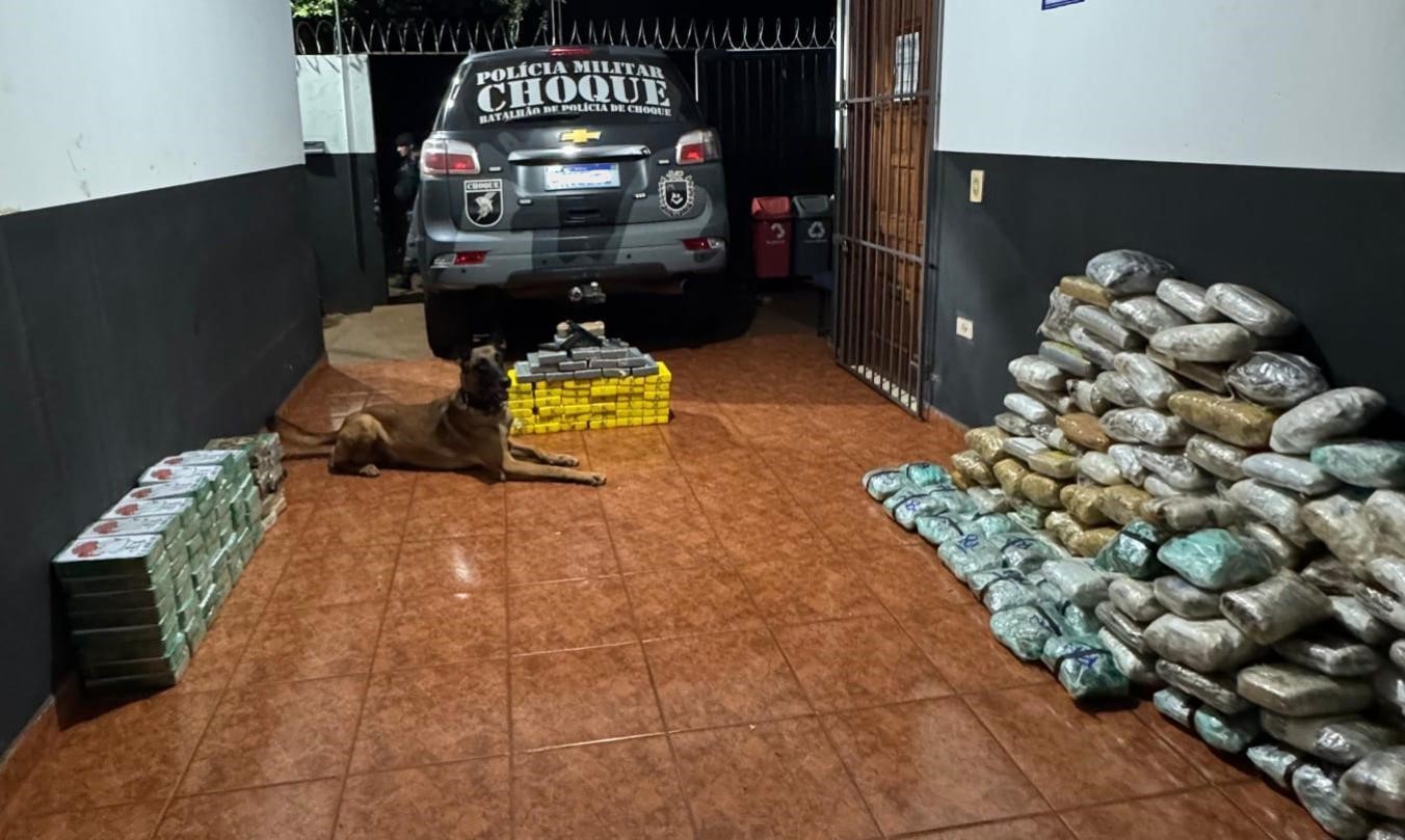 As drogas seriam entregues em Sidrolândia; cão de faro Alok deu apoio aos policiais