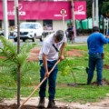 No início o ano, Três Lagoas recebeu um certificado do programa Trees Cities of the World.