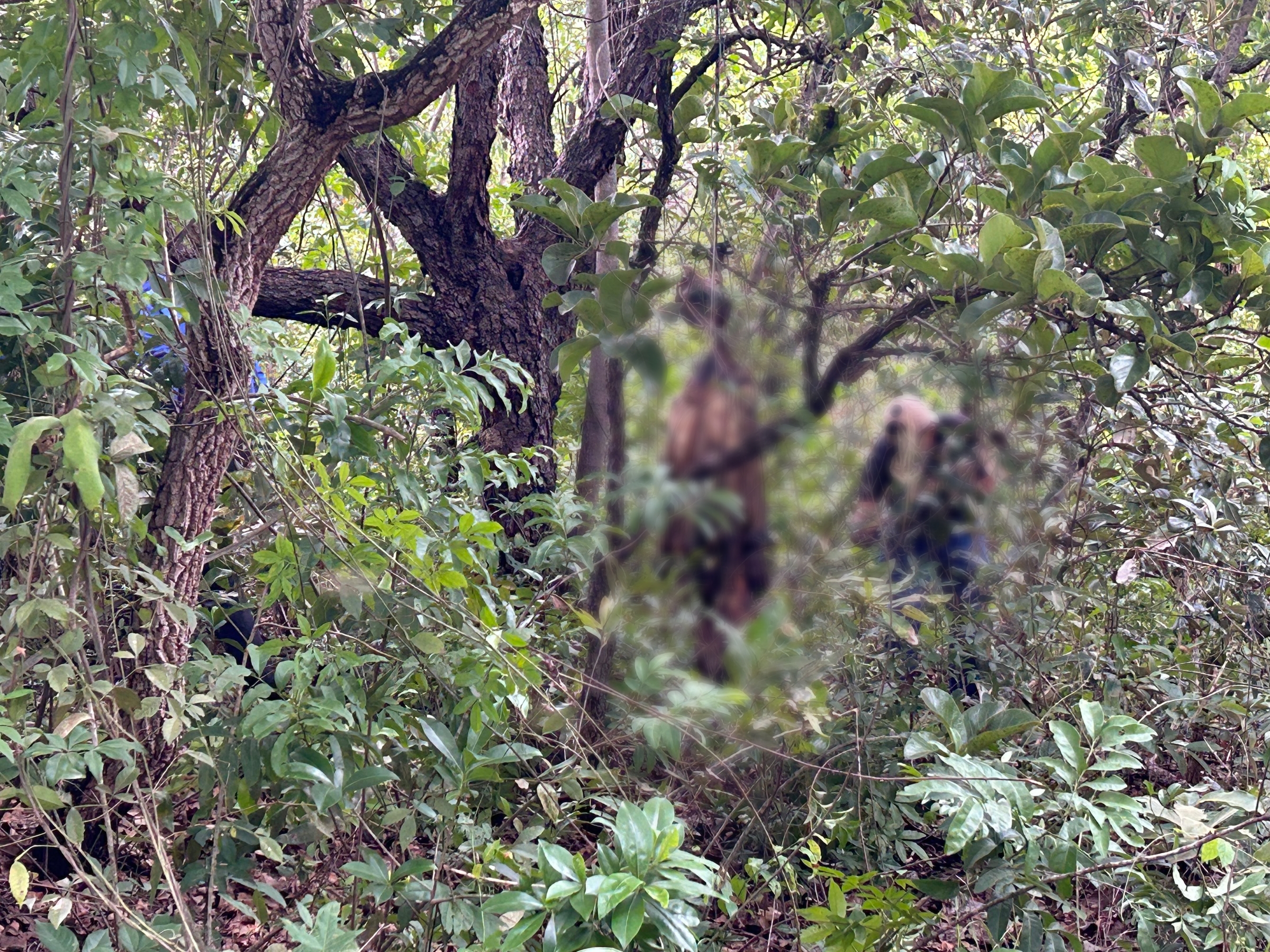 Corpo em decomposição é encontrado em área rural em Três Lagoas