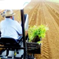 Cidade contém uma forte cadeia produtiva agroindustrial.