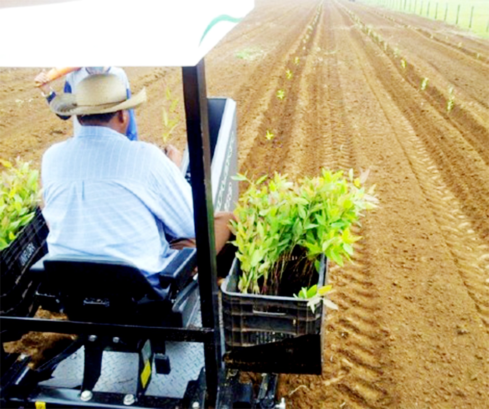 Cidade contém uma forte cadeia produtiva agroindustrial.