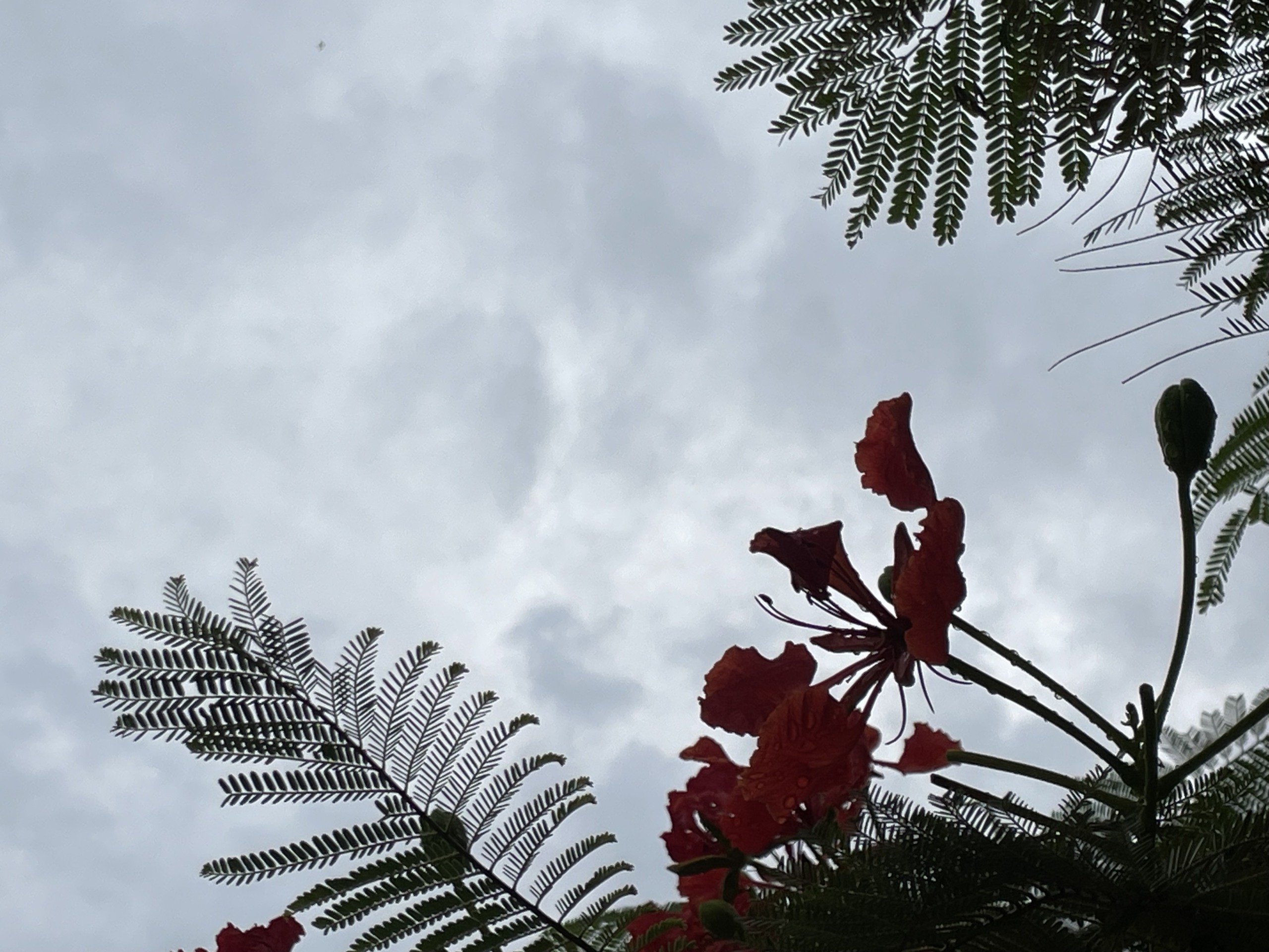 Céu nublado e previsão de chuva. – (Arquivo / JP News).