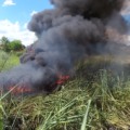 Fumaça tóxica de lixo causa transtornos em Três Lagoas