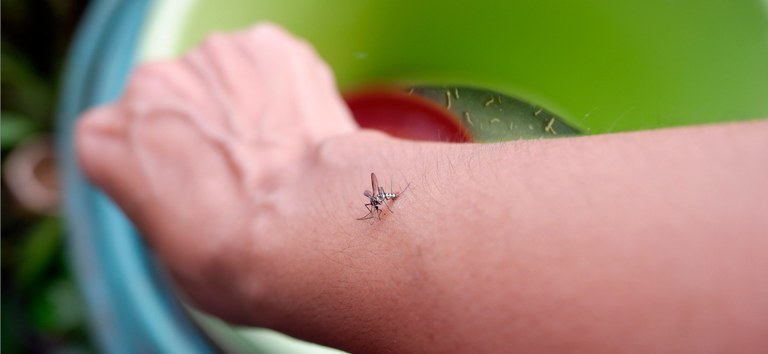 Entenda o que são os sorotipos da Dengue e por que o tipo 3 gera maior preocupação