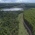 Atualmente em fase de terraplanagem, as obras devem começar no segundo semestre de 2025