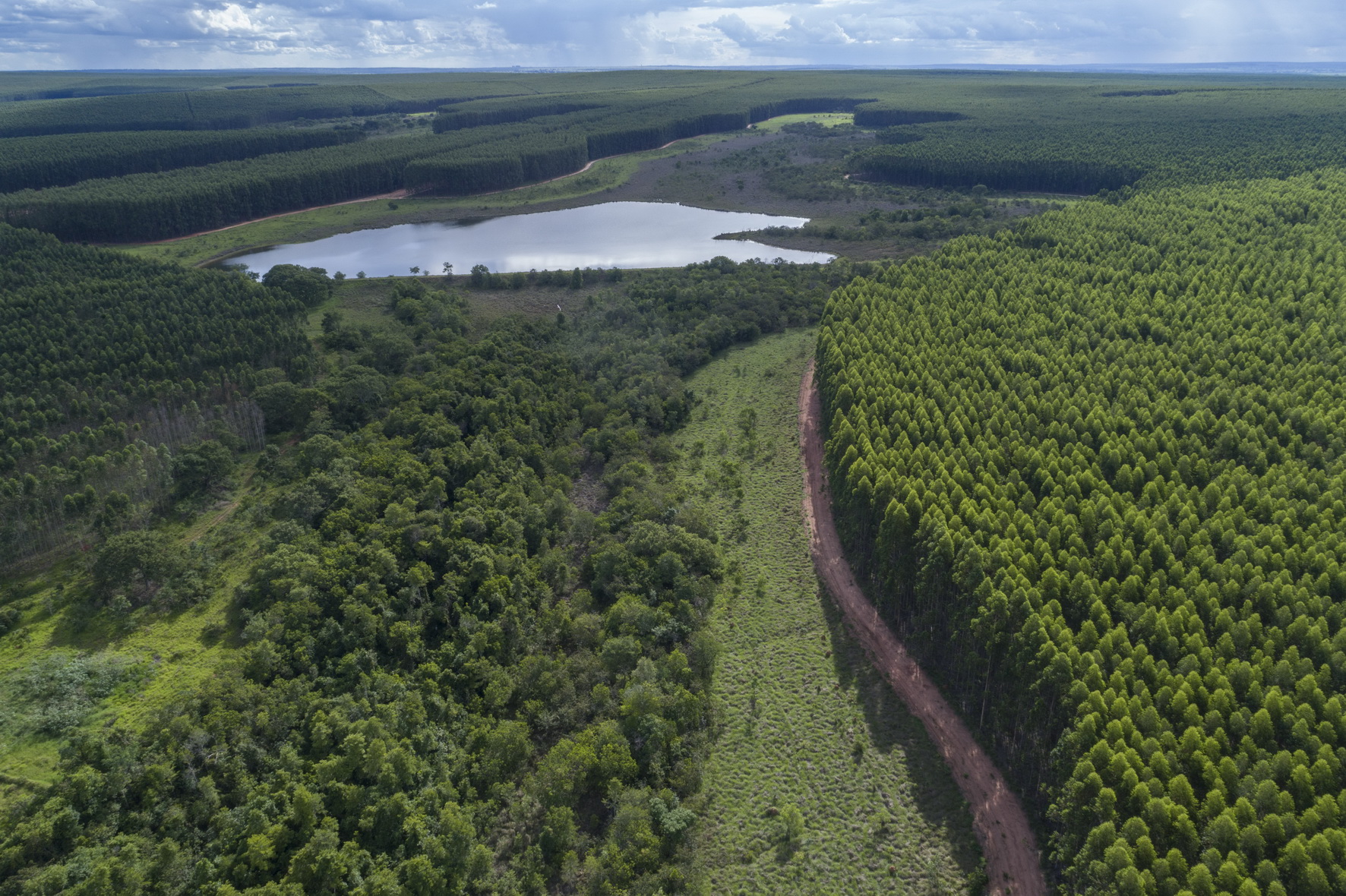 Atualmente em fase de terraplanagem, as obras devem começar no segundo semestre de 2025