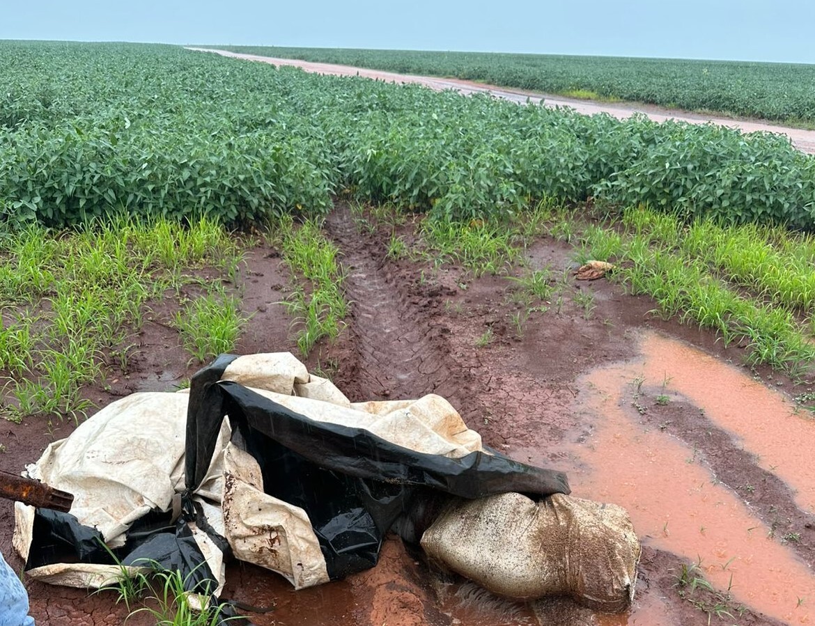 Cadáver estava enrolado em lona plástica