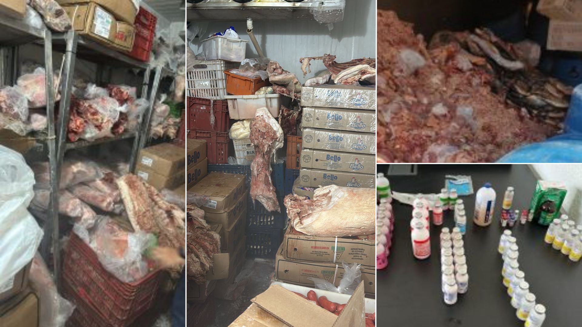 Carne bovina e suína e vacinas para animais apreendidos | Foto: Reprodução/ Polícia Civil