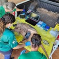 O Parque Natural Municipal do Pombo desempenha um papel estratégico na conservação da biodiversidade.