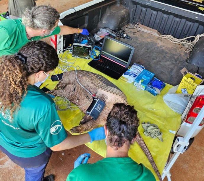 O Parque Natural Municipal do Pombo desempenha um papel estratégico na conservação da biodiversidade.