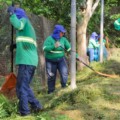 As ações incluíram limpeza geral da área, manutenção do espaço e poda das árvores que circundam a quadra.