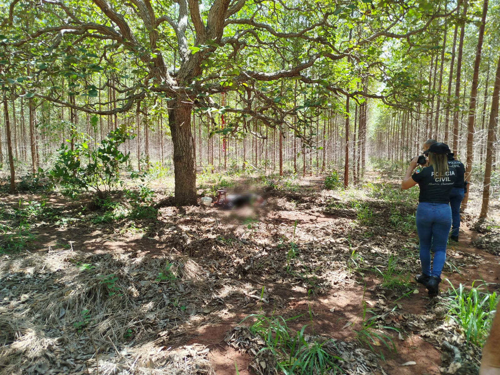 Corpo em floresta é encontrado e Polícia Civil investigará