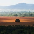 Igual no primeiro mandato, presidente norte-americano deixou Acordo de Paris