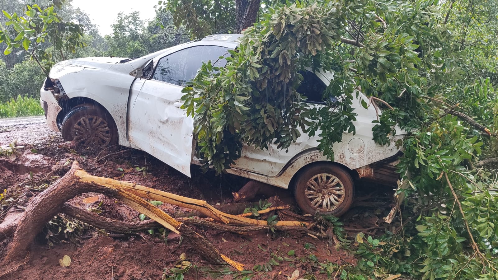 Carro sai da pista na BR-262 após aquaplanagem durante chuva | Divulgação / Polícia Rodoviária Federal