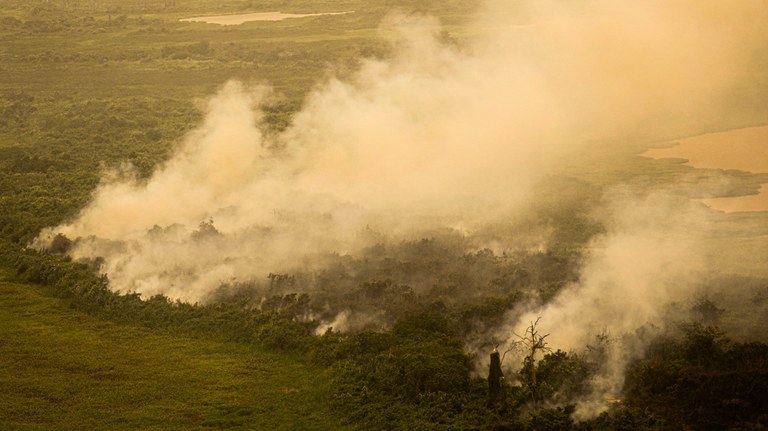 Área de mais de 6.400 hectares em Corumbá foi queimada e desmatada para a criação de gado | Foto: Reprodução/Joédson Alves/Agência Brasil