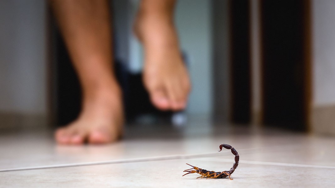 As regiões do Anhanduizinho e Lagoa são as mais afetadas no município