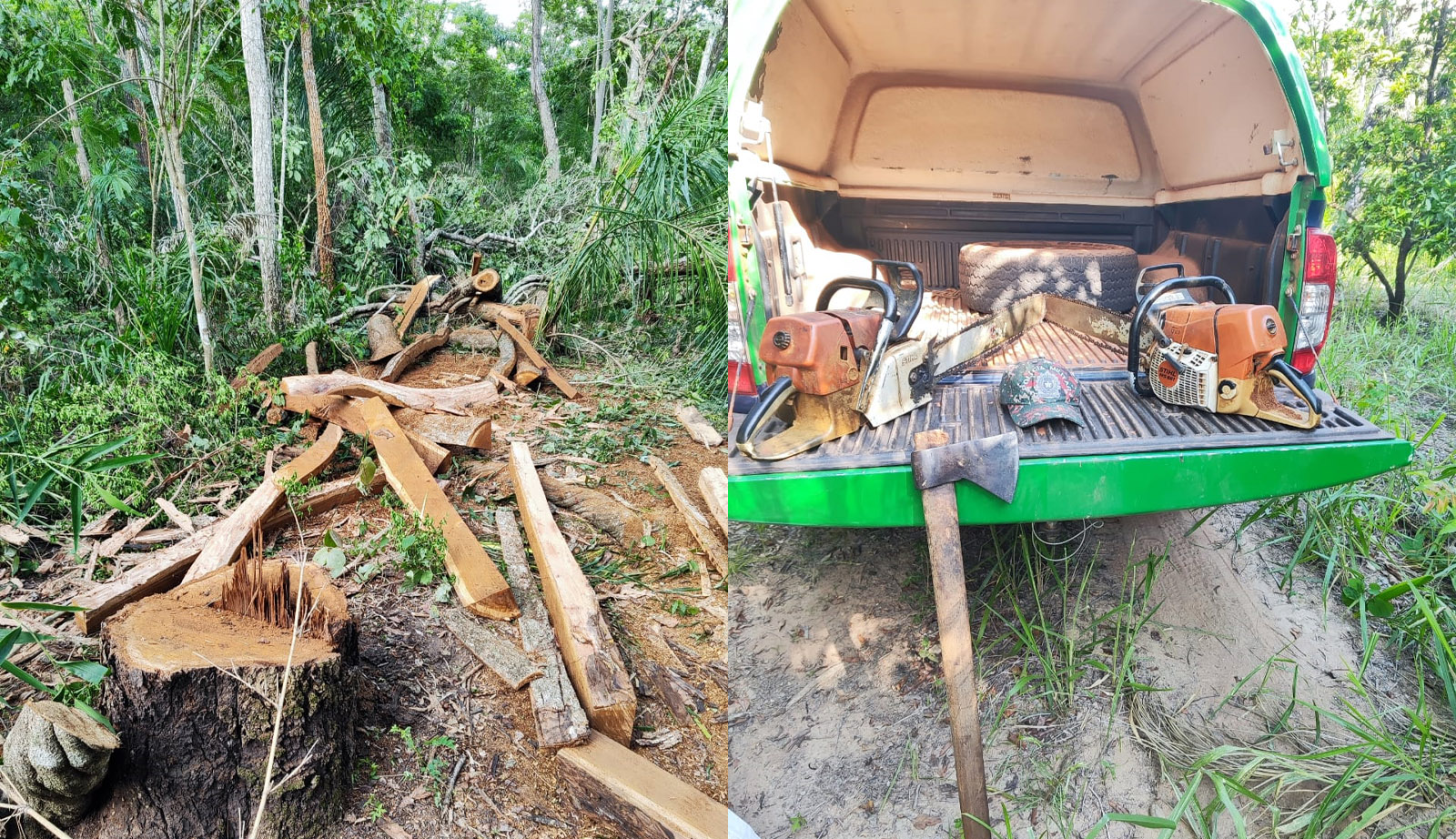 Local do flagrante em área de preservação e material apreendido