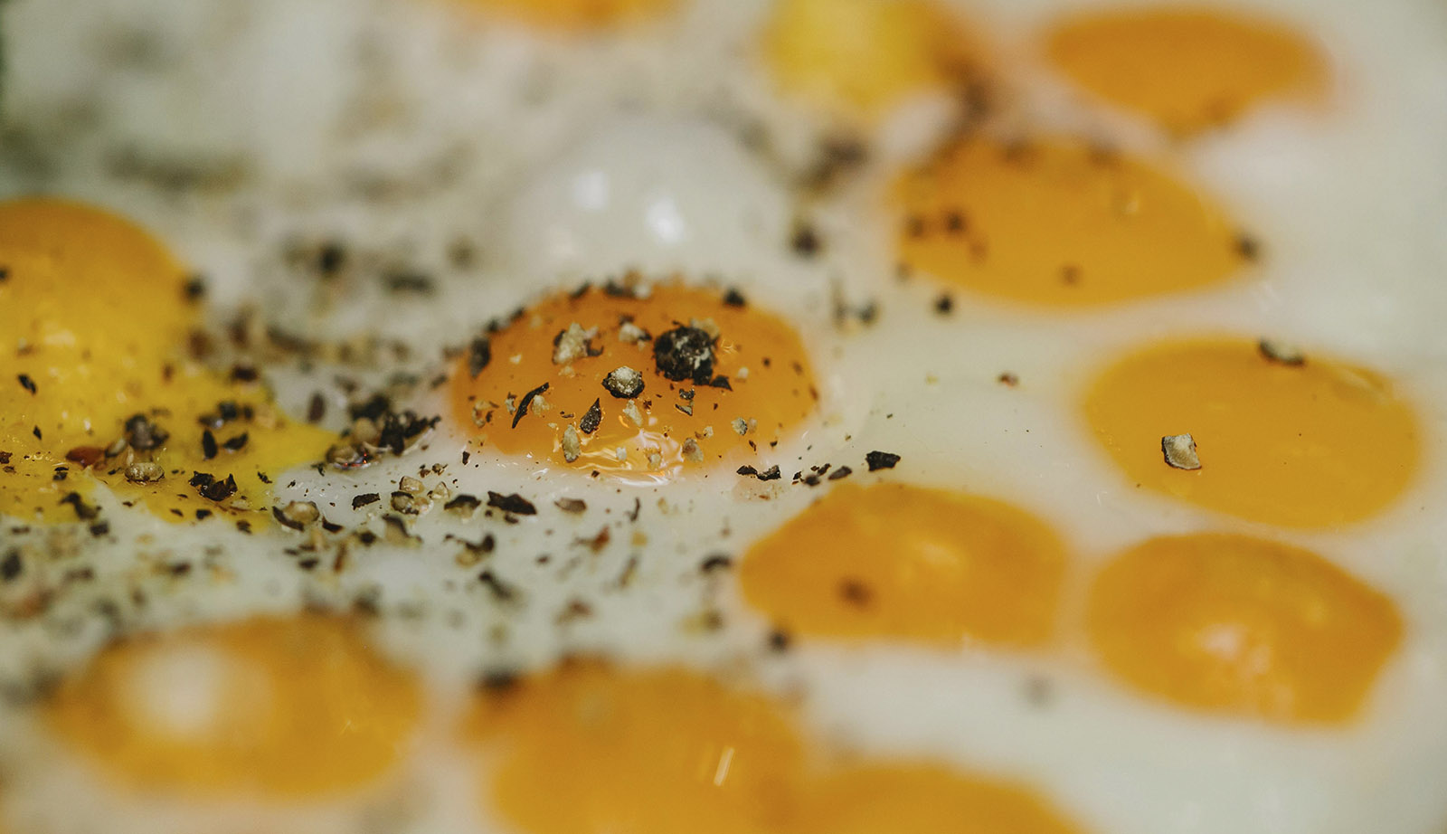 Dieta do ovo pode ser maléfica para a saúde