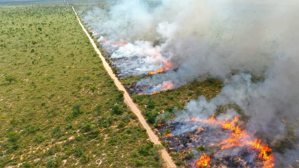 Além do Parque Estadual do Rio Negro, o Parque Rio Taquari e do Rio Ivinhema devem receber atenção especial de manejo este ano