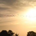 Em Campo Grande a temperatura máxima pode alcançar os 32°