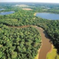 Volume de chuvas será superior ao último ano no Pantanal, mas não o suficiente para recuperar todas as áreas queimadas - Foto: Rico/@visitmsoficial