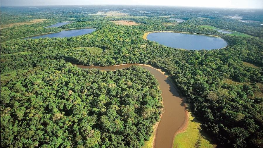 Volume de chuvas será superior ao último ano no Pantanal, mas não o suficiente para recuperar todas as áreas queimadas - Foto: Rico/@visitmsoficial