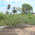 Aumenta o número de denúncias de terrenos sujos em Três Lagoas