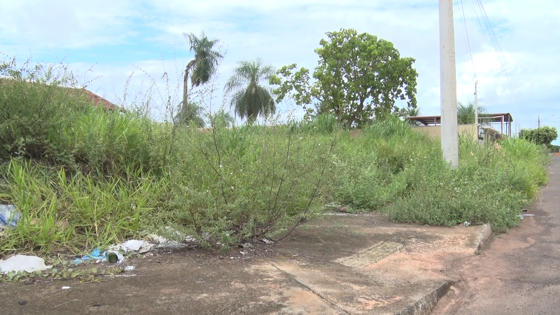 Aumenta o número de denúncias de terrenos sujos em Três Lagoas