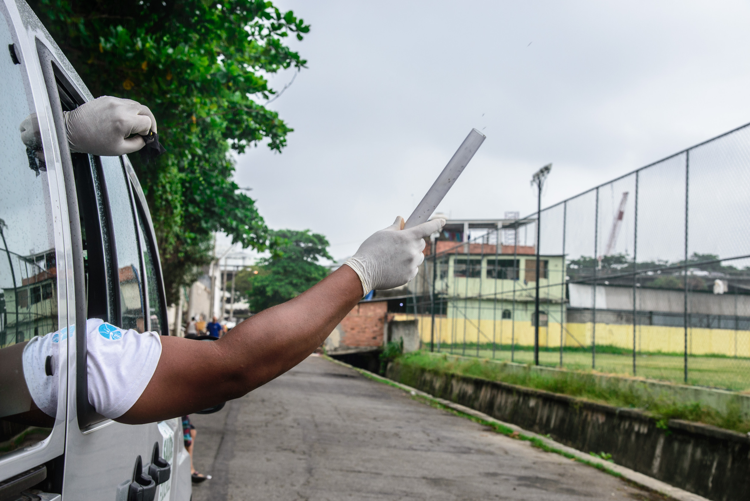 Fase final de soltura dos mosquitos com a Wolbachia foi concluída em dezembro de 2024 - Foto: Reprodução/Sesau