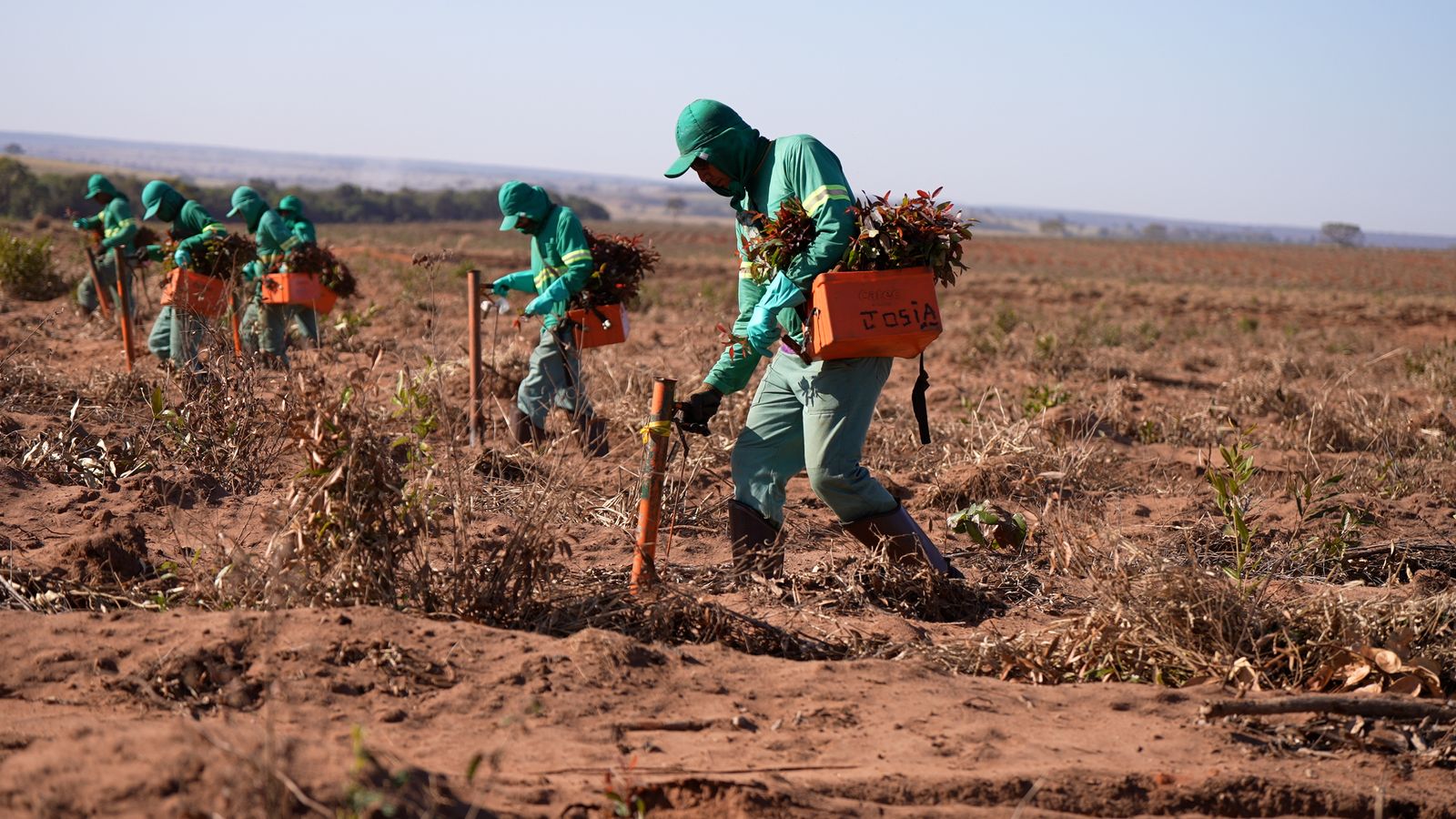 Confira as vagas de emprego abertas pela MS Florestal - Divulgação / MS Florestal