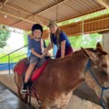 A Equoterapia utiliza cavalos para promover o desenvolvimento biopsicossocial dos pacientes (Foto: Divulgação)