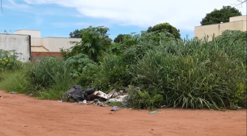 Foto: Ana Cristina Santos – Mato alto e lixo acumulado em terrenos baldios preocupam moradores de Três Lagoas