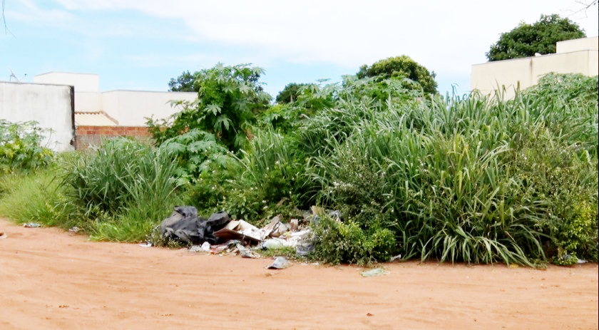 Prefeitura intensifica fiscalização de terrenos baldios e aplica mais de 500 multas