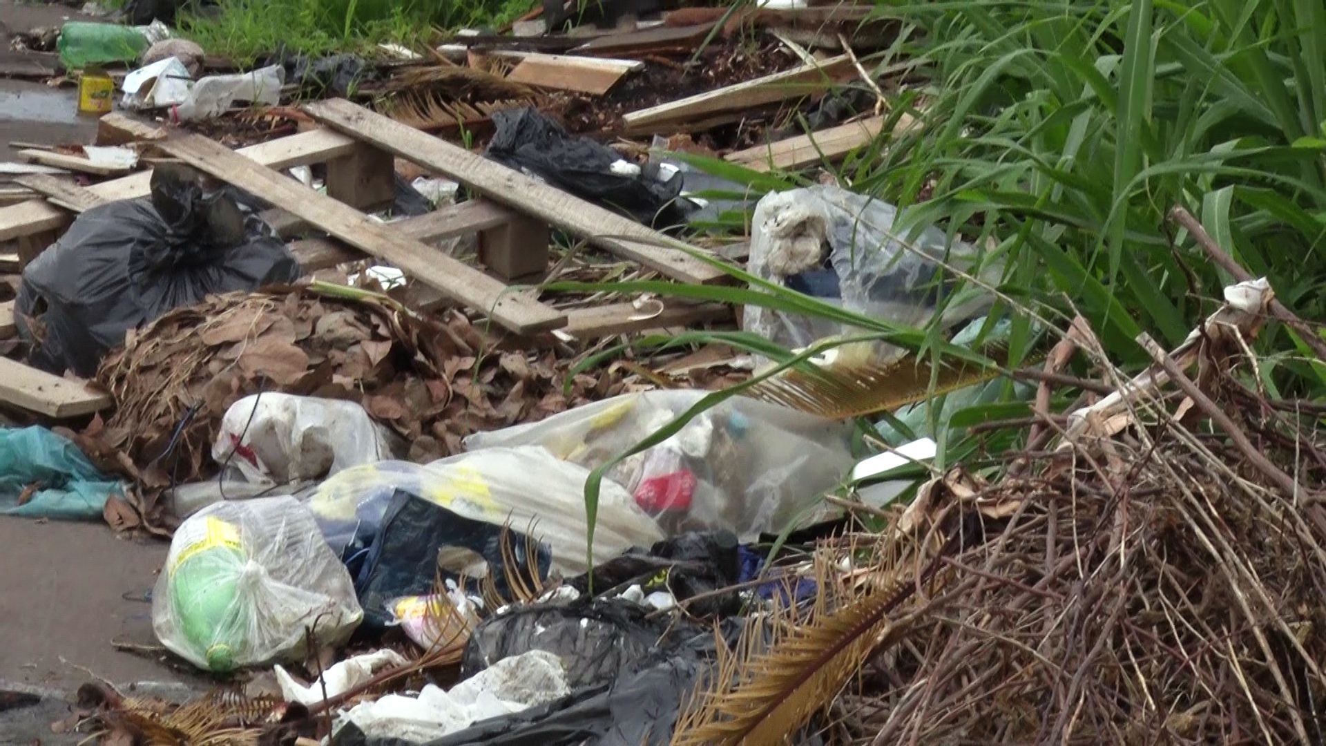 Período de chuva em Três Lagoas gera alerta para cuidados com a dengue