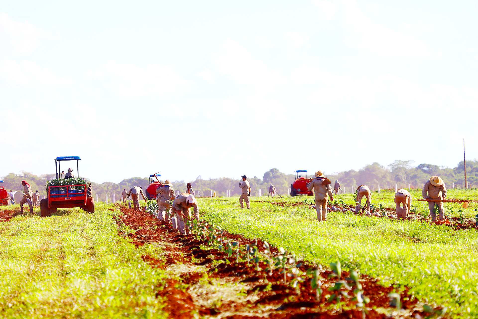 Falta de trabalhadores é o grande gargalo enfrentado por Mato Grosso do Sul para atender diversos setores da economia – Foto: Arquivo/divulgação