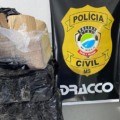 Ação ocorreu durante a operação "Protetor das Fronteiras e Divisas"; investigações continuam para prender os responsáveis- Foto: Reprodução/Polícia Civil