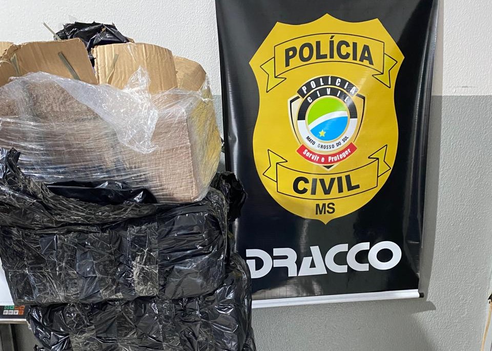 Ação ocorreu durante a operação "Protetor das Fronteiras e Divisas"; investigações continuam para prender os responsáveis- Foto: Reprodução/Polícia Civil