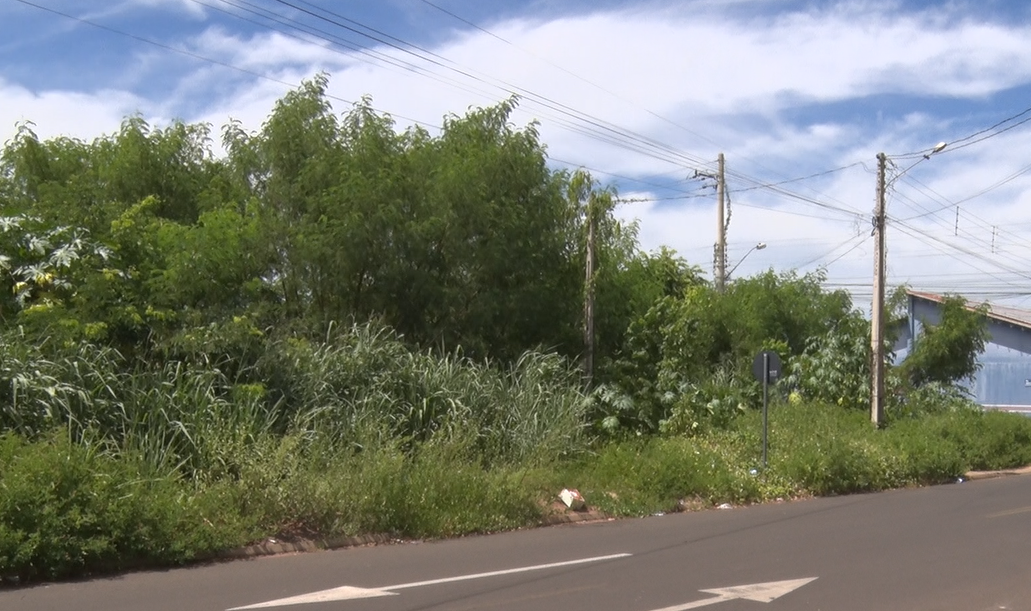 Prefeitura fiscaliza e multa mais de 500 proprietários de terrenos baldios - Reprodução / TVC HD