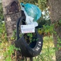 Armadilhas para estudos do Aedes aegypti são usadas como lixeiras