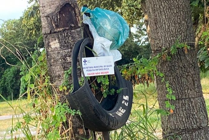 Armadilhas para estudos do Aedes aegypti são usadas como lixeiras