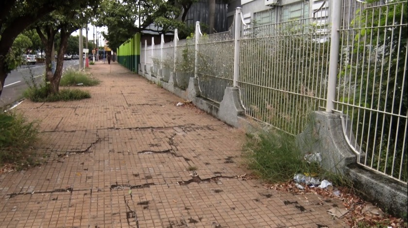 A parlamentar destacou a preocupação com a grande quantidade de mato nas calçadas e dentro das unidades de ensino - Foto: Reprodução / TVC 