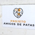 'Amigos de Patas' recolhem embalagens para ajudar animais de rua em Três Lagoas