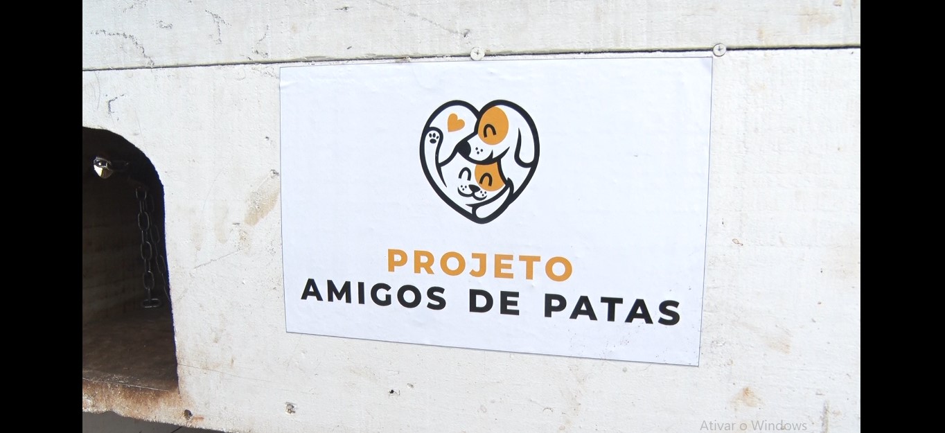 'Amigos de Patas' recolhem embalagens para ajudar animais de rua em Três Lagoas