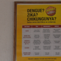 Casos de chikungunya aumentam em Três Lagoas - Reprodução / TVC HD