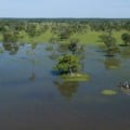 Mato Grosso do Sul abriga 3/4 do Pantanal - Foto: Flávio André de Souza/Mtur