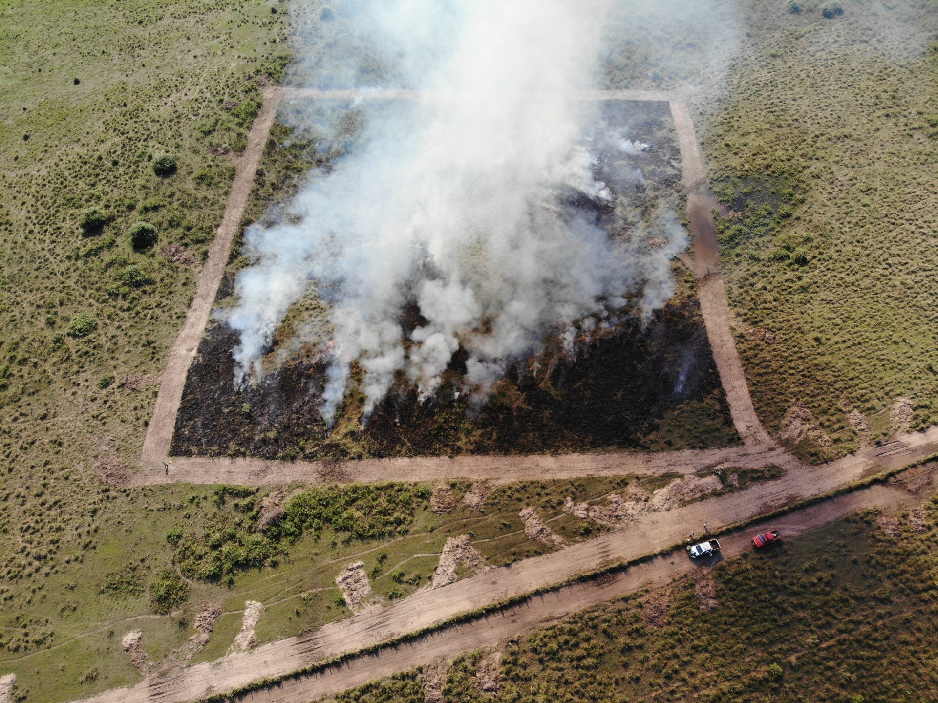 Queimada controlada é uma prática no Pantanal-Foto: Reprodução/ Alexandre Pereira