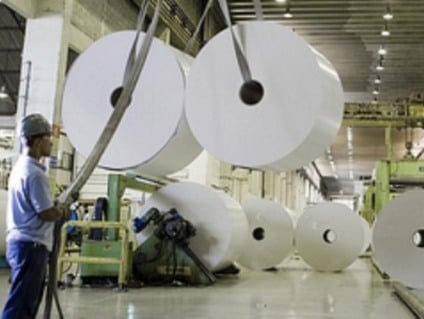 Celulose lidera ranking dos produtos exportados, seguida pela soja e carne bovina - Foto: Arquivo RCN67