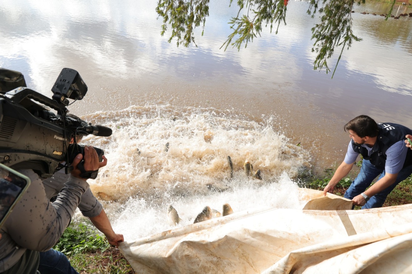 Foram soltos 2,5 toneladas de peixes no lago do Parque Antenor Martins. (Foto: Aparecido Frota)