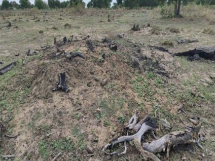 Área queimada no Pantanal após incêndio ilegal em fazenda de Aquidauana